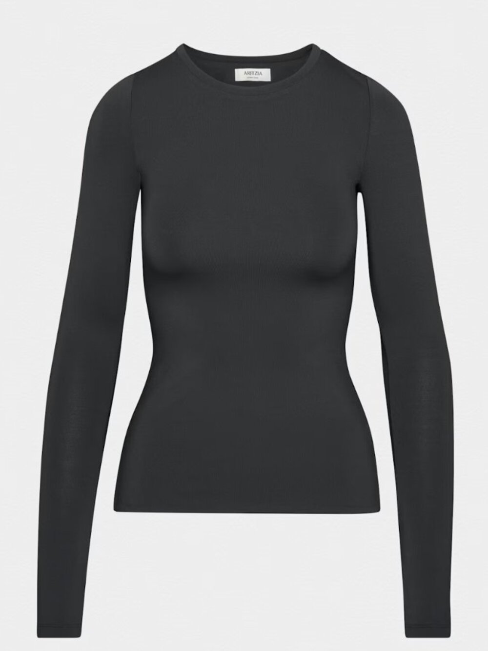 Aritzia Long Sleeve Contour Crewneck Top in ack